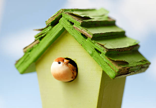 casita de pájaros - birdhouse animal nest house residential structure fotografías e imágenes de stock