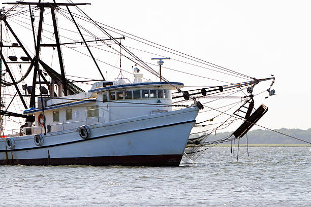 istock Trawling Fishing Boat 183234208