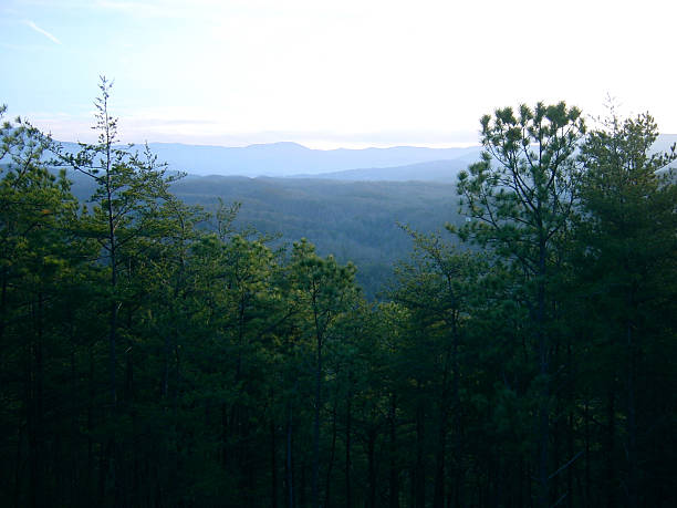 Mountain Vista - foto stock