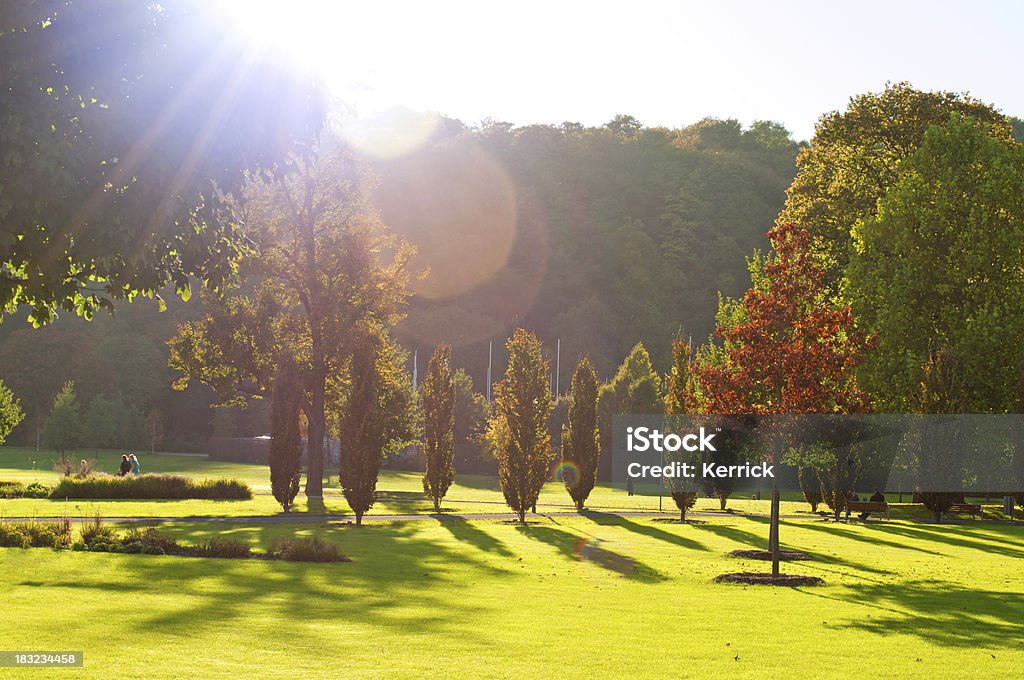 Bunte Effekten und Farben des Herbstes - Lizenzfrei Baum Stock-Foto