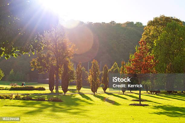 Bunte Effekten Und Farben Des Herbstes Stockfoto und mehr Bilder von Baum - Baum, Blendenfleck, Ebene