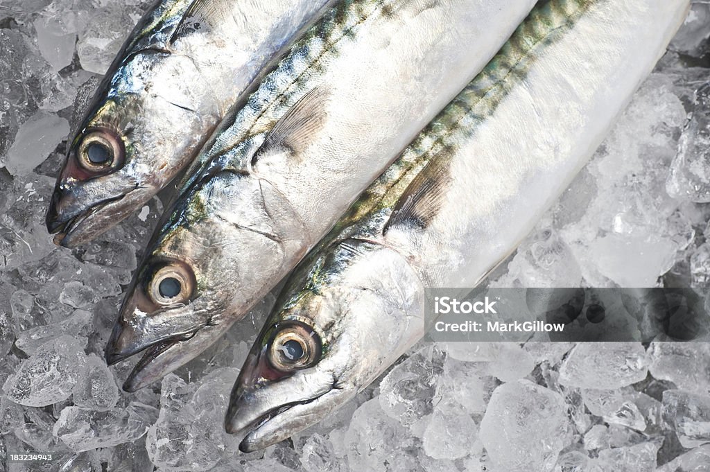 Caballa - Foto de stock de Alimento libre de derechos