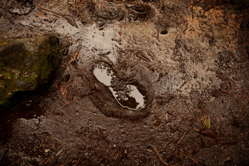 Muddy path on a gloomy winter day.  The footprint shows human presence.