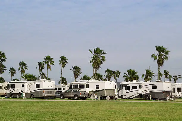Row of RV's and campers with palm trees in the background