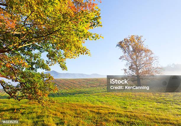 Утро Осенью Поля И Дерево — стоковые фотографии и другие картинки Cades Cove - Cades Cove, Без людей, Время года