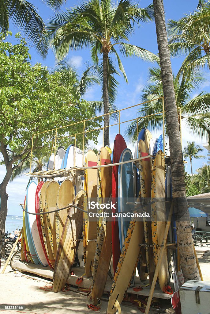 Surfboards en la playa de Waikiki, Hawai. - Foto de stock de Isla Grande de Hawái - Islas de Hawái libre de derechos