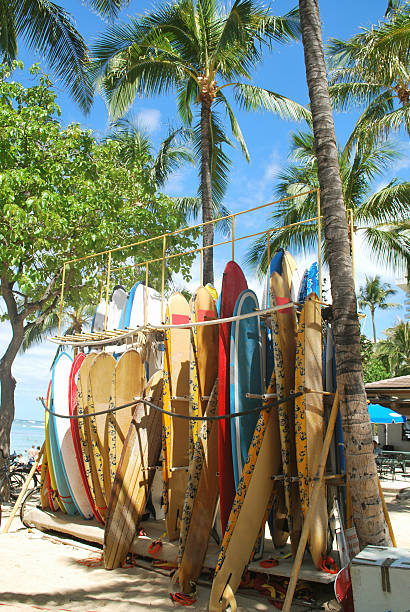 planches de surf sur la plage de waikiki, à hawaii. - hawaii islands maui big island tropical climate photos et images de collection
