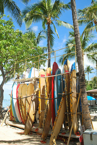 surfboards на пляж вайкики, гавайи. - hawaii islands big island waikiki beach стоковые фото и изображения