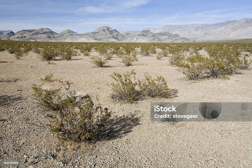 La créosote buissons dans la vallée de la mort - Photo de Badlands libre de droits