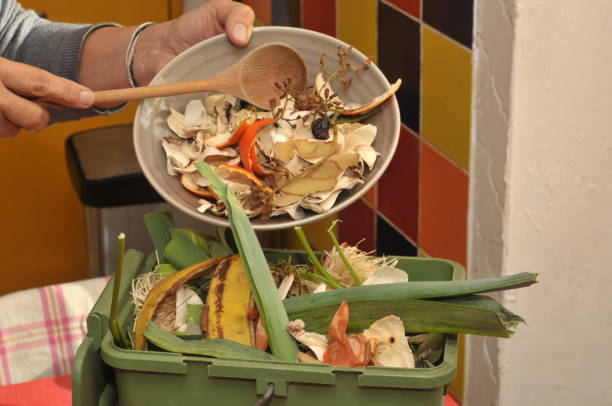 istock Put food scraps in a composting bin 1832358008