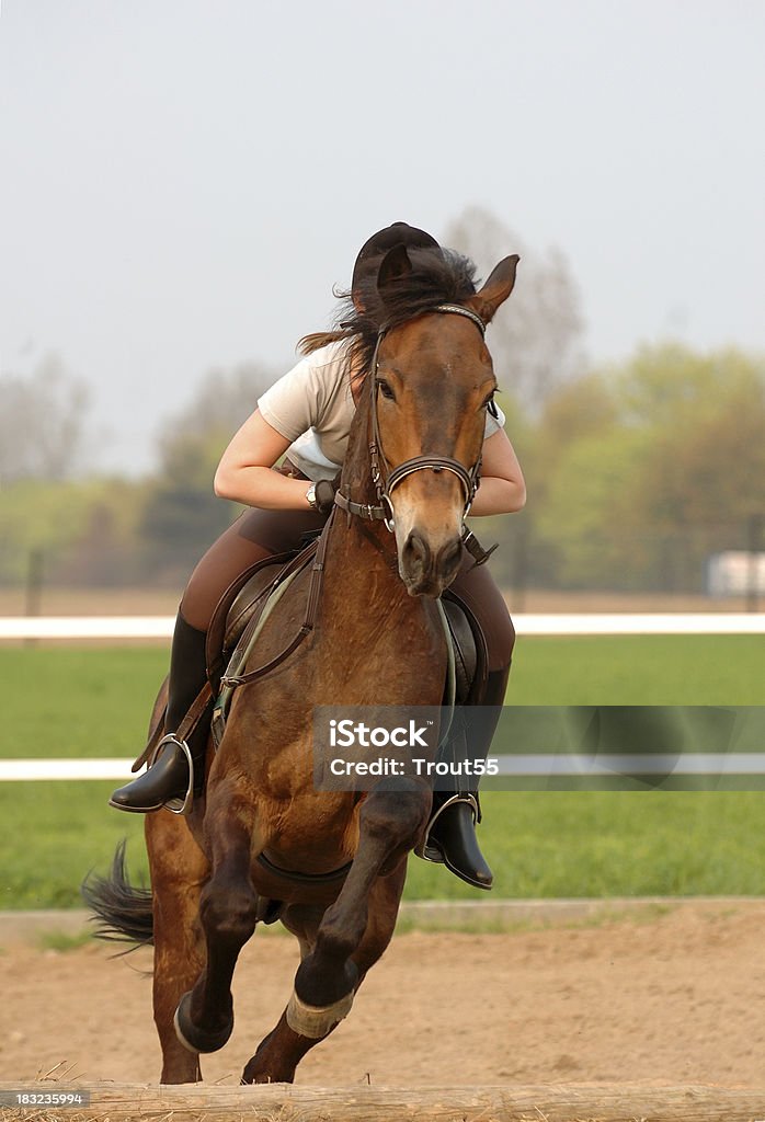 Saltare cavallo - Foto stock royalty-free di Agricoltura