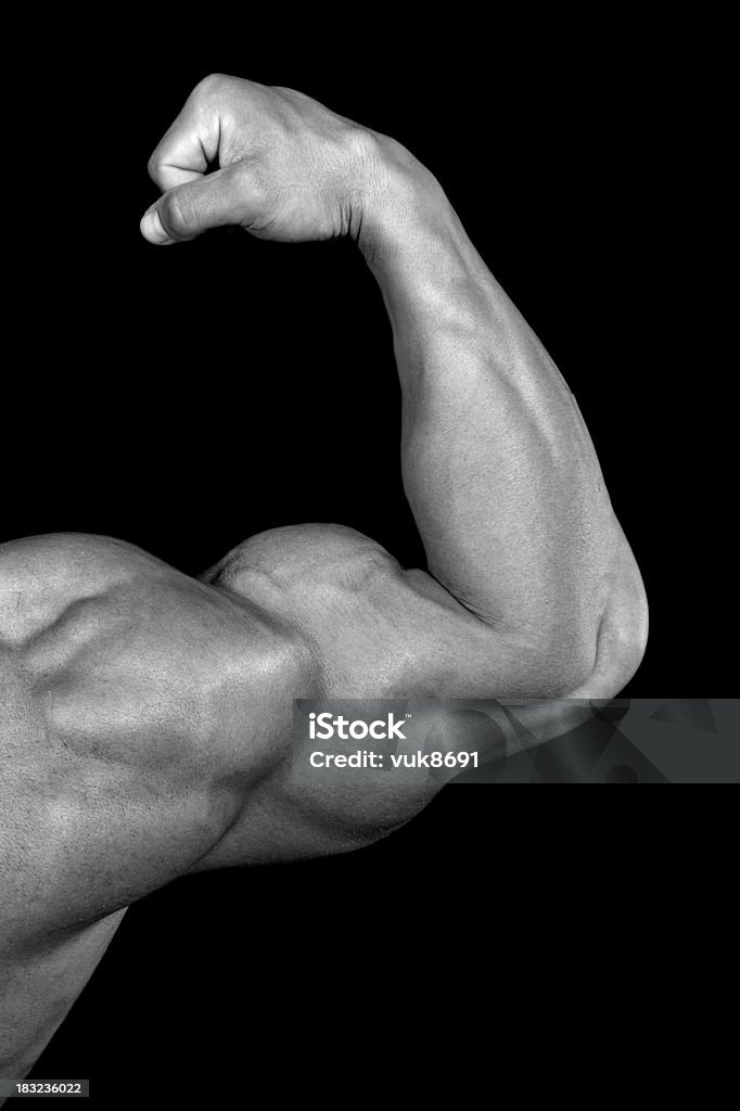 Des biceps - Photo de Adulte libre de droits