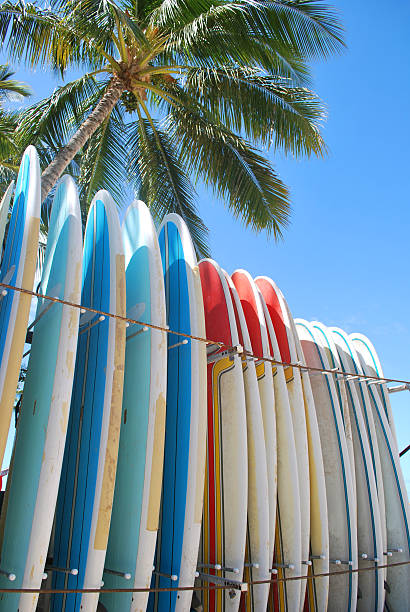 surfboards en la playa de waikiki, hawai. - hawaii islands maui big island tropical climate fotografías e imágenes de stock