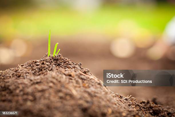 Erba Crescere In Montagna Di Terra - Fotografie stock e altre immagini di Accudire - Accudire, Agricoltura, Ambientazione esterna