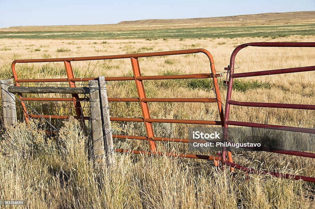 Puertas y pasto - Foto de stock de Alambre de espino libre de derechos