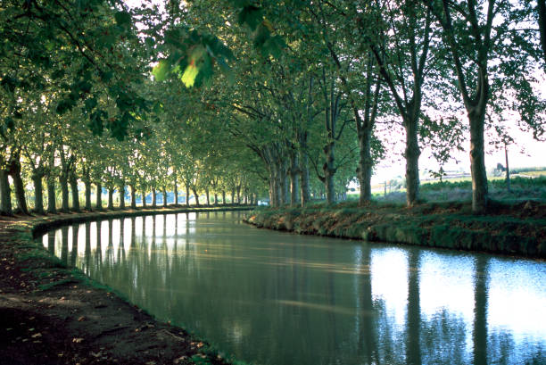 First signs of autumn on the tree lined canal  Canal du Midi at Capestang, Herault, France