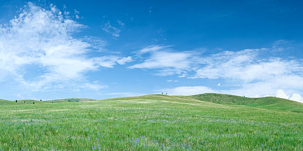 istock Spring landscape 36MPix XXXXL panorama - meadow, hills, blue sky 183236636