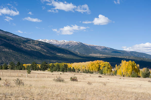 mount yale und zaun posts im herbst - poplar tree aspen tree tree winter stock-fotos und bilder