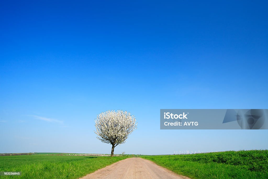 Farm Road im Frühling III - Lizenzfrei Agrarbetrieb Stock-Foto