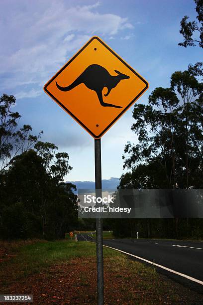 Känguruüberquerung Stockfoto und mehr Bilder von Arrangieren - Arrangieren, Australien, Australische Kultur