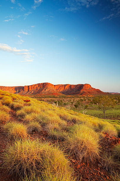 Australian landscape in Purnululu National Park, Western Australia at sunset Beautiful Australian landscape in the light of a setting sun. Photographed from the Kungkalahayi lookout in Purnululu National Park. kimberley plain photos stock pictures, royalty-free photos & images