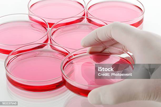 Foto de Colocando Petridish e mais fotos de stock de Vermelho - Vermelho, Copo, Laboratório