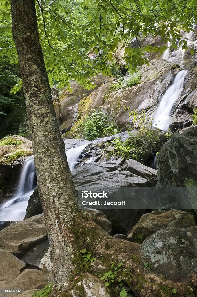 Dark Hollow Falls - Foto de stock de Appalachia royalty-free