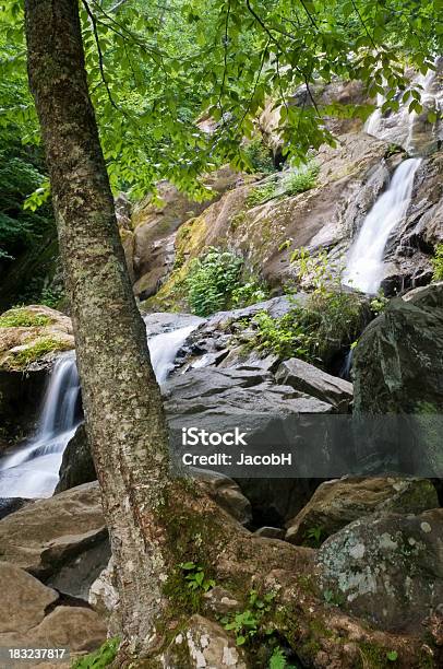 Escuro Hollow Falls - Fotografias de stock e mais imagens de Ao Ar Livre - Ao Ar Livre, Appalachia, Arbusto