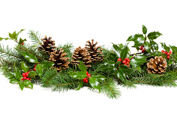 Christmas greenery stock photo