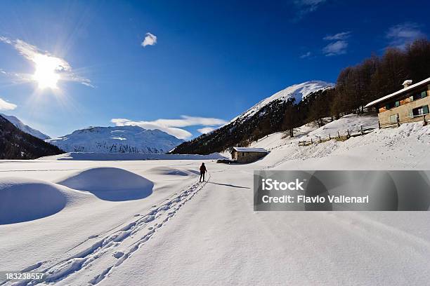 Caminatas Con Raquetas Para Nieve En Livigno Foto de stock y más banco de imágenes de Livigno - Livigno, Invierno, Aire libre