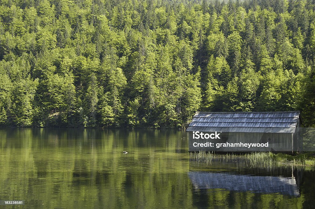 Toplitzsee An alpine lake rich in history Ausseerland Stock Photo