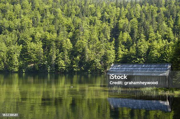 Toplitzsee Stock Photo - Download Image Now - Ausseerland, Austria, Boathouse