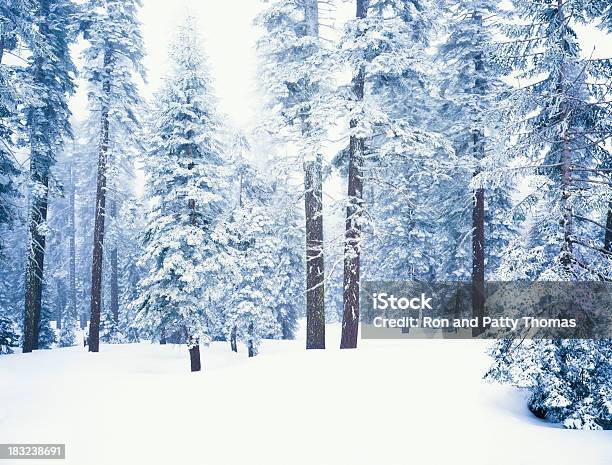 Winter In California Stock Photo - Download Image Now - Beauty In Nature, California, Californian Sierra Nevada