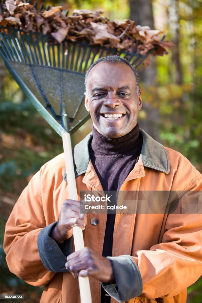 Feliz hombre maduro rastrillaje - Foto de stock de Otoño libre de derechos