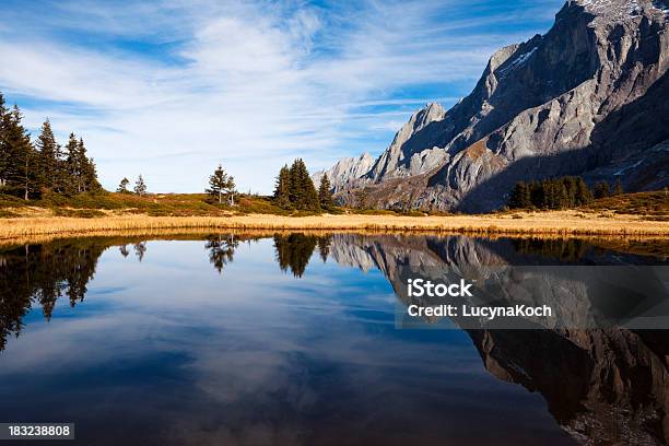 Pond Life Stockfoto und mehr Bilder von Bergsee - Mecklenburg-Vorpommern - Bergsee - Mecklenburg-Vorpommern, Schweiz, Alpen