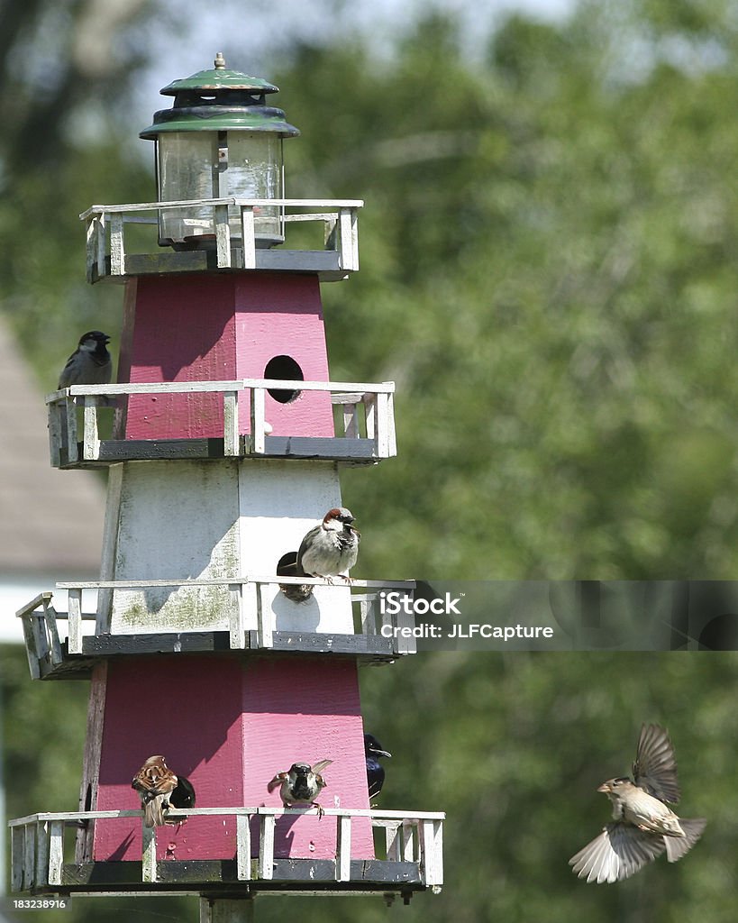 Casa de Pássaro na forma de um farol - Royalty-free Animal Foto de stock