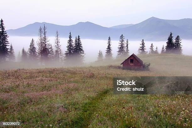 세퍼즈 오두막 있는 Carpathians 메도 숲에 대한 스톡 사진 및 기타 이미지 - 숲, 안개, 통나무집