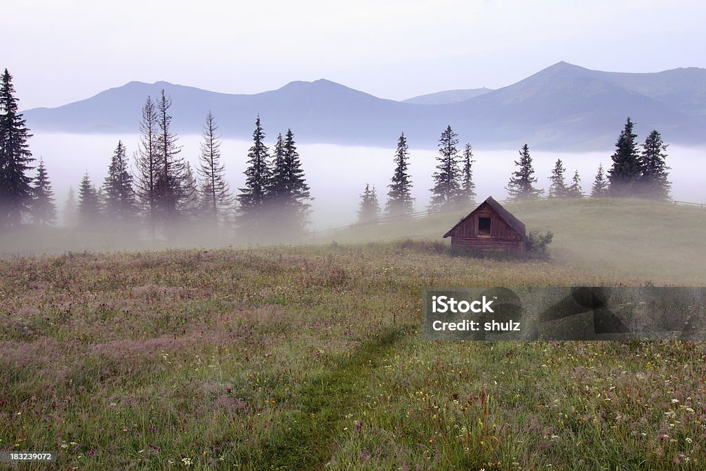 Shepherd's chatka na Carpathians meadow - Zbiór zdjęć royalty-free (Dom z bali)