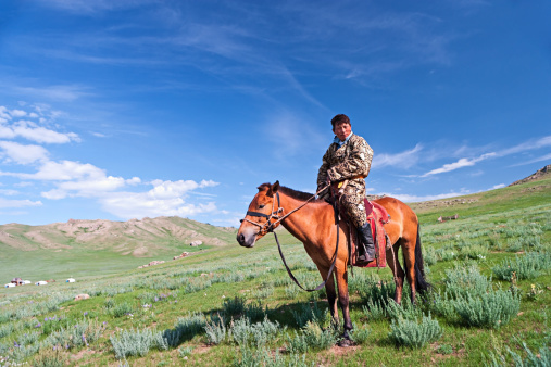 Mongolian horseback rider, meadow in background. http://bem.2be.pl/IS/mongolia_380.jpg
