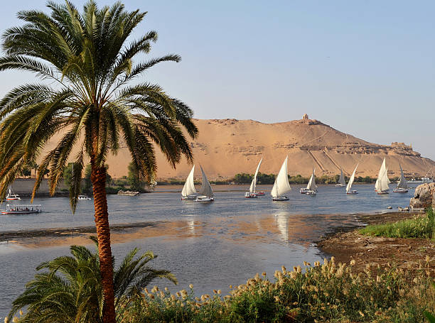 River Nile "Felucca boats take sail on the River Nile at Aswan, EgyptThe riverscape of Aswan is dominated by the sand-covered hills of the West Bank which is strewn with rock-cut tombs of high-status officials of the Old and Middle Kingdom. At the crest of the hill is the domed tomb of a Muslim prophet which gives the hill its local name, Qubbet el-Hawa or aEDome of the Windsaa." felucca boat stock pictures, royalty-free photos & images