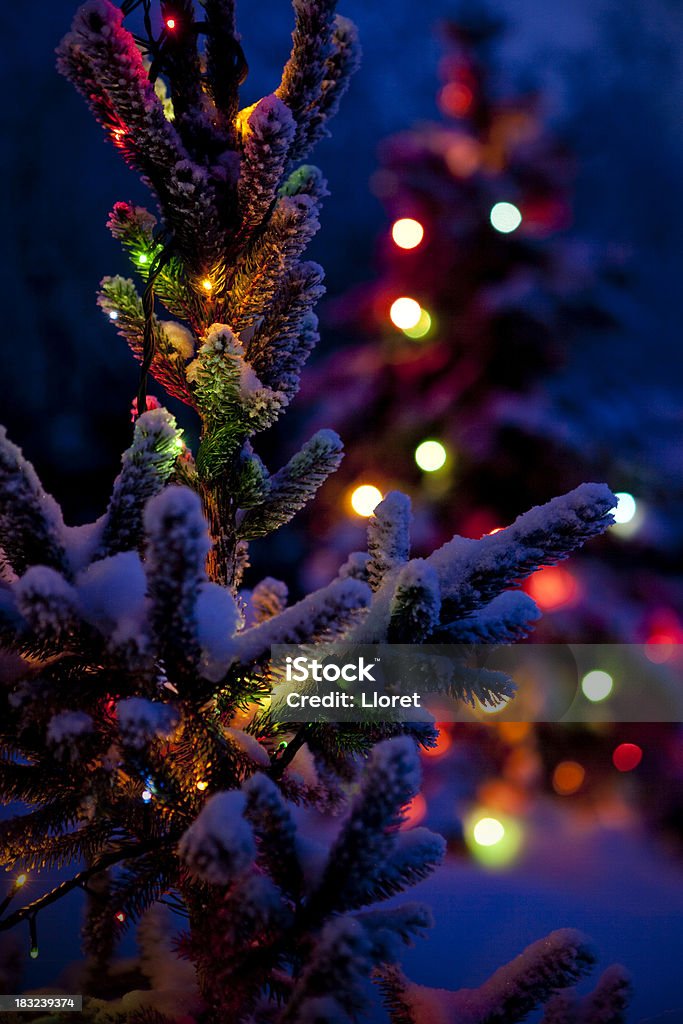 Close-up de árvore de Natal de noite - Foto de stock de Luz de Natal royalty-free