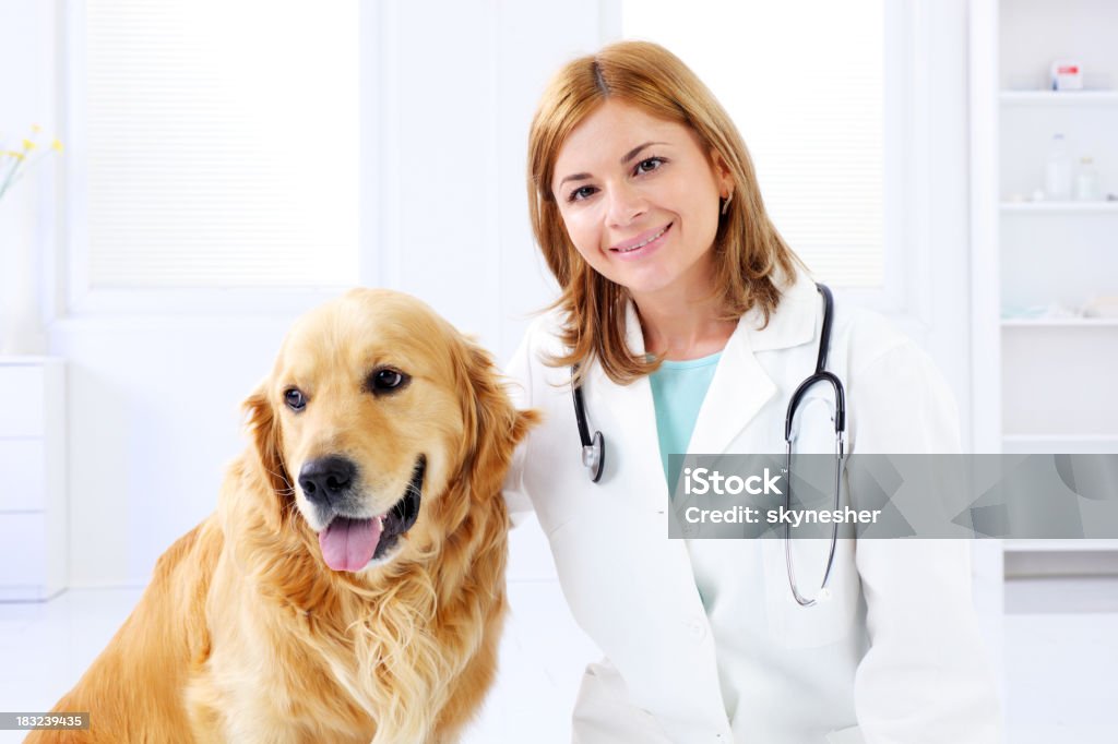 Jovem fêmea cuidados veterinários de um engraçado bonito cão. - Royalty-free Veterinário Foto de stock