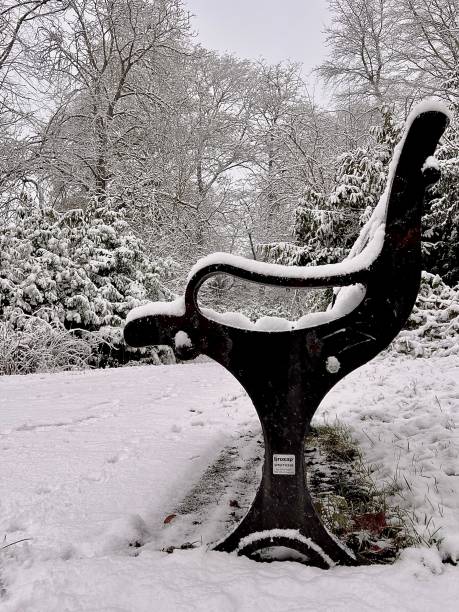 An empty public park bench covered with snow at Jesmond Dene in Newcastle Upon Tyne An empty public park bench covered with snow at Jesmond Dene in Newcastle Upon Tyne jesmond stock pictures, royalty-free photos & images