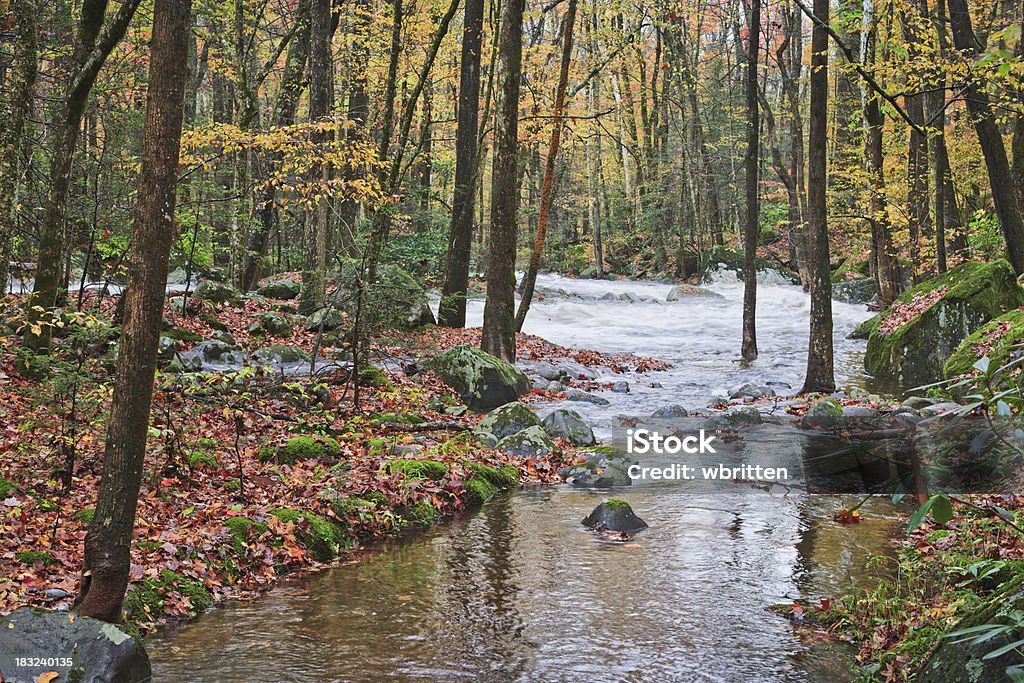 Outono em Montanhas cascade do efeito Smoky - Royalty-free Ao Ar Livre Foto de stock