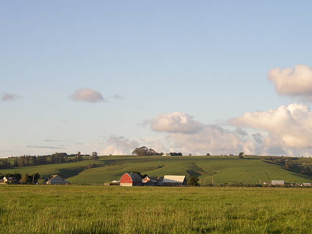 Farmland landscape #1 stock photo