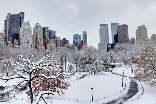 blizzard in New York City turns Central Park into a winter wonderland. Photo taken from a scenic viewpoint showing the Manhatten skyline rising from the snow covered  trees. 