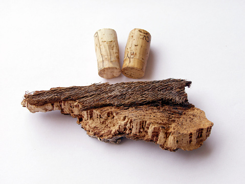 cork bark with wine corks