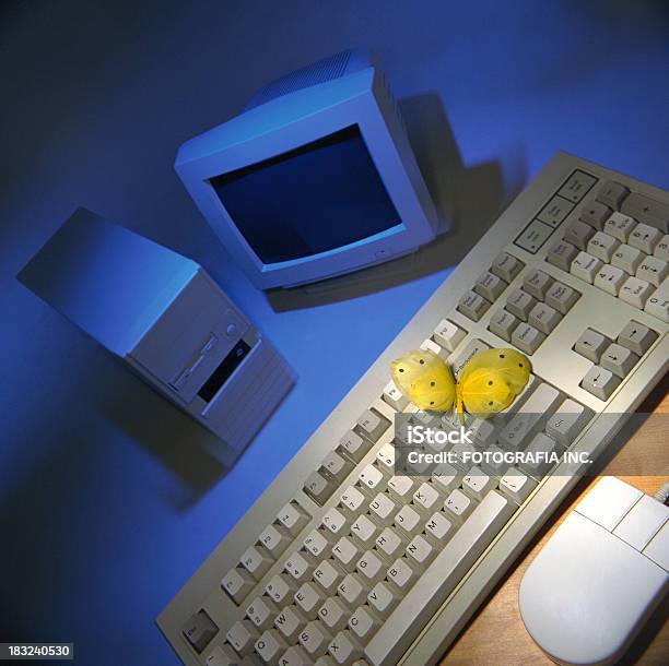 키보드 나비 CPU에 대한 스톡 사진 및 기타 이미지 - CPU, 개념, 개념과 주제
