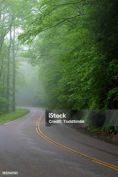 Foggy Road - Fotografie stock e altre immagini di Albero - Albero, Asfalto, Autostrada