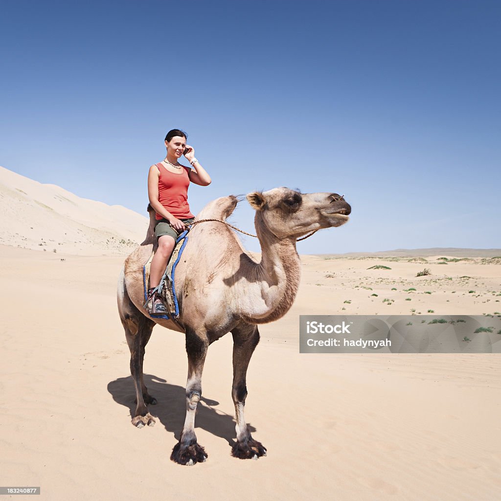 Junge Frau mit einem Handy auf dem Kamel - Lizenzfrei Abenteuer Stock-Foto